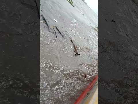 Ferry, Río Magdalena, Salamina Pivijay, Magdalena Atlántico.