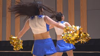 「チアダンス」 綺麗なお姉さんの地区みたいですか？