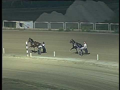 Trotto 14/07/2017 - 3ª prova di qualifica