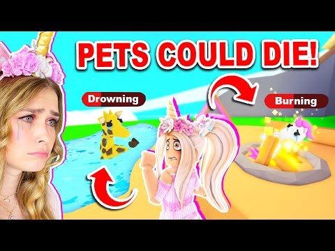 PETS Can NOW DIE In Adopt Me?! (Roblox)