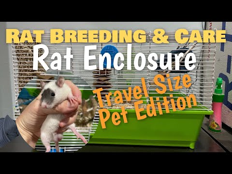 , title : 'Rat Breeding and Care | Travel Size Rat Enclosure'