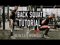 Beginner's Guide to the Barbell Back Squat | PhysiqueDevelopment.com