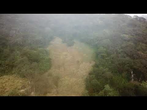 A plain @ 2200m at Nuweraeliya-Videography by Supun M Fernando