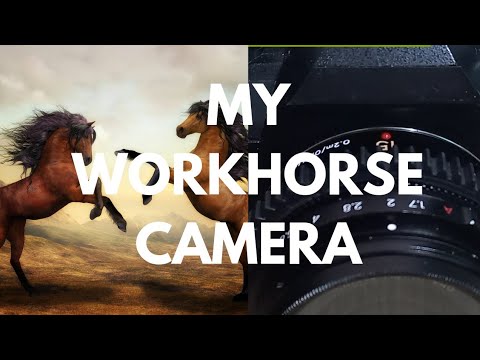 15 Best Cameras for YouTube Videos You Can Buy