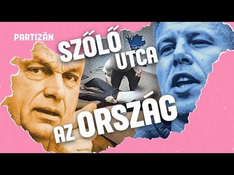 Fel a Karmelitába⎟Tüntetés és mohácsi DPK a Szőlő utca árnyékában