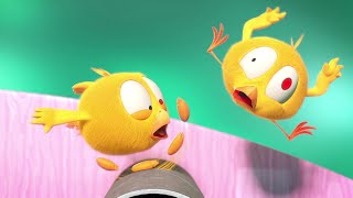 Chicky the acrobat | Where's Chicky? | Cartoon Collection in English for Kids | New episodes