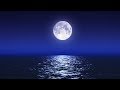Sleep Music With Ocean and Jungle Sounds – Relaxing Blue Screen Scene – Ocean and Full Moon mp3