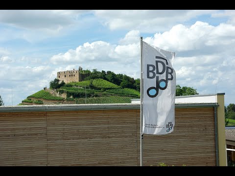 Die BDB-Muskakdemie – ein Haus voll Musik