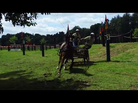 Fahrturnier Alfhausen 22.5.2022