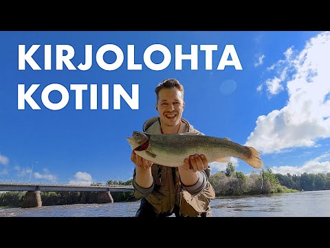 Pari ruokakalaa kotiin vietäväksi