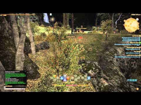 Archer Class Quest - Level 1