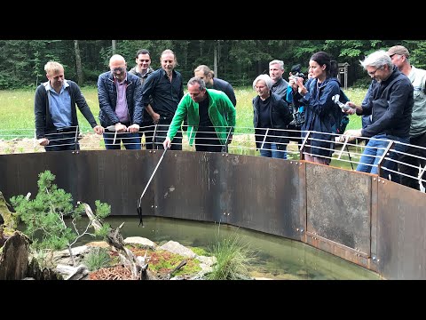 Eröffnung des Reptiliengeheges im Tier-Freigelände bei Neuschönau