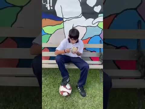 Alimentación inteligente