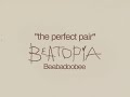 Beabadoobee - the perfect pair (Lyrics)