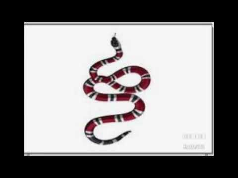 BLOCK SAVAGES RECORDS (NEW BITCH) JBOOGIE283 feat.dboy smooth