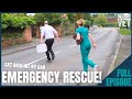Cat Hit By Car Vets Race To The Rescue Rescue Vet With Dr Scott Miller