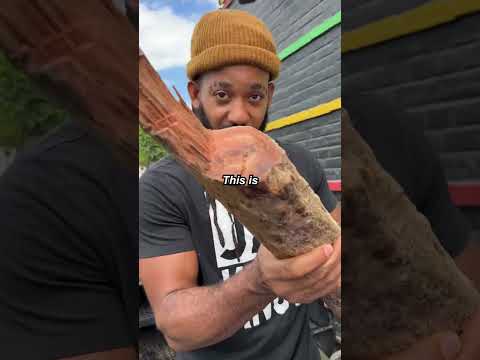 His last meal💀🇯🇲