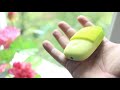 ОБЗОР Xiaomi inFace Sonic Clean ► ЩЕТКА СЯОМИ для ОЧИСТКИ ЛИЦА