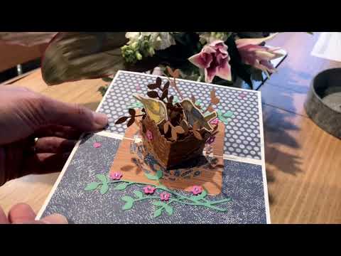 Birds & Branches In Colors Pop Up Card