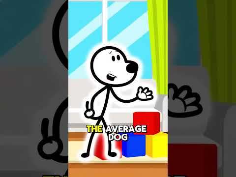 Did You Know Dogs Match a 2-Year-Old’s Intelligence? 🐶🧠