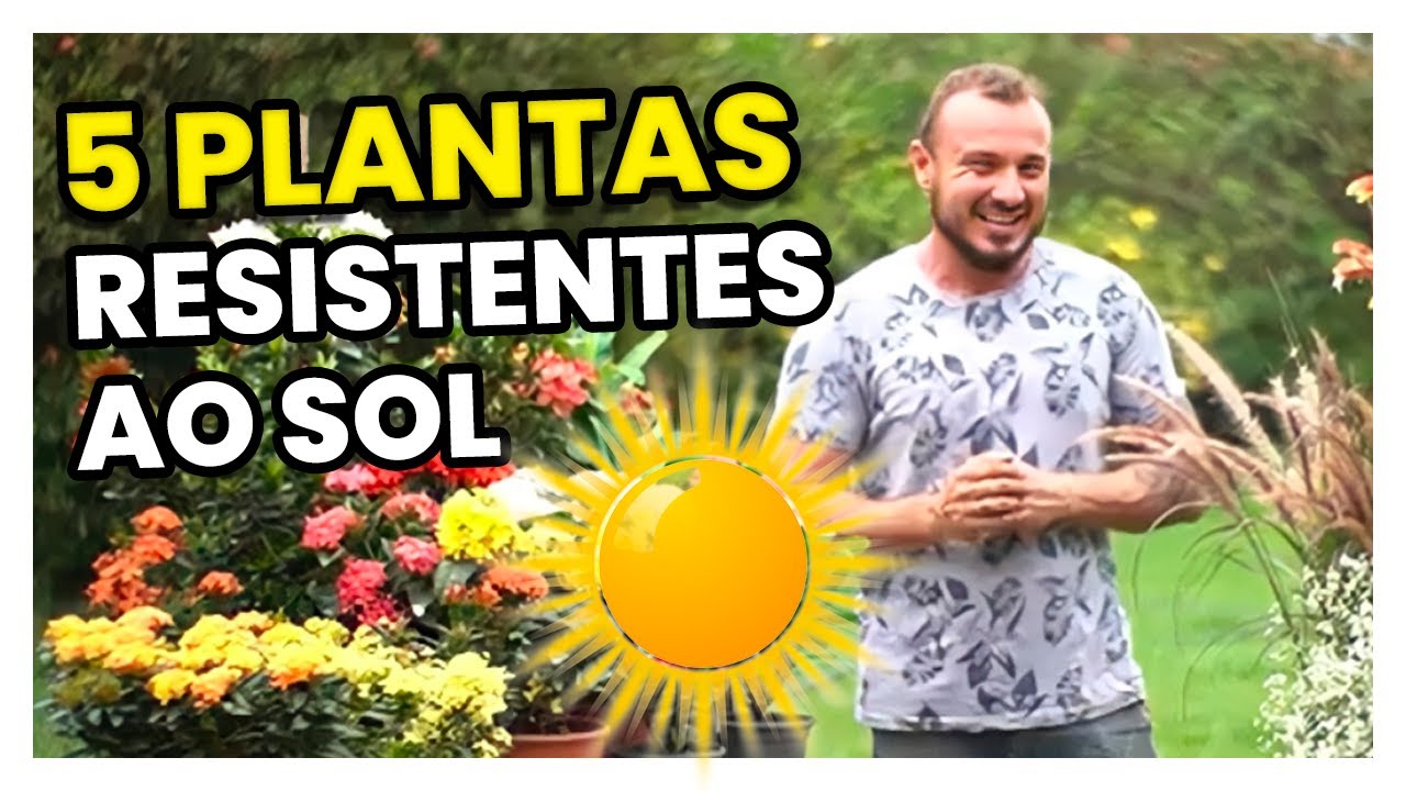 Cinco PLANTAS RESISTENTES ao CALOR