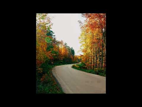 [FREE] skele, fats'e, midwest emo type beat | "taste"