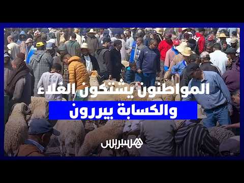 الماشية في “أربعاء السويهلة” 
