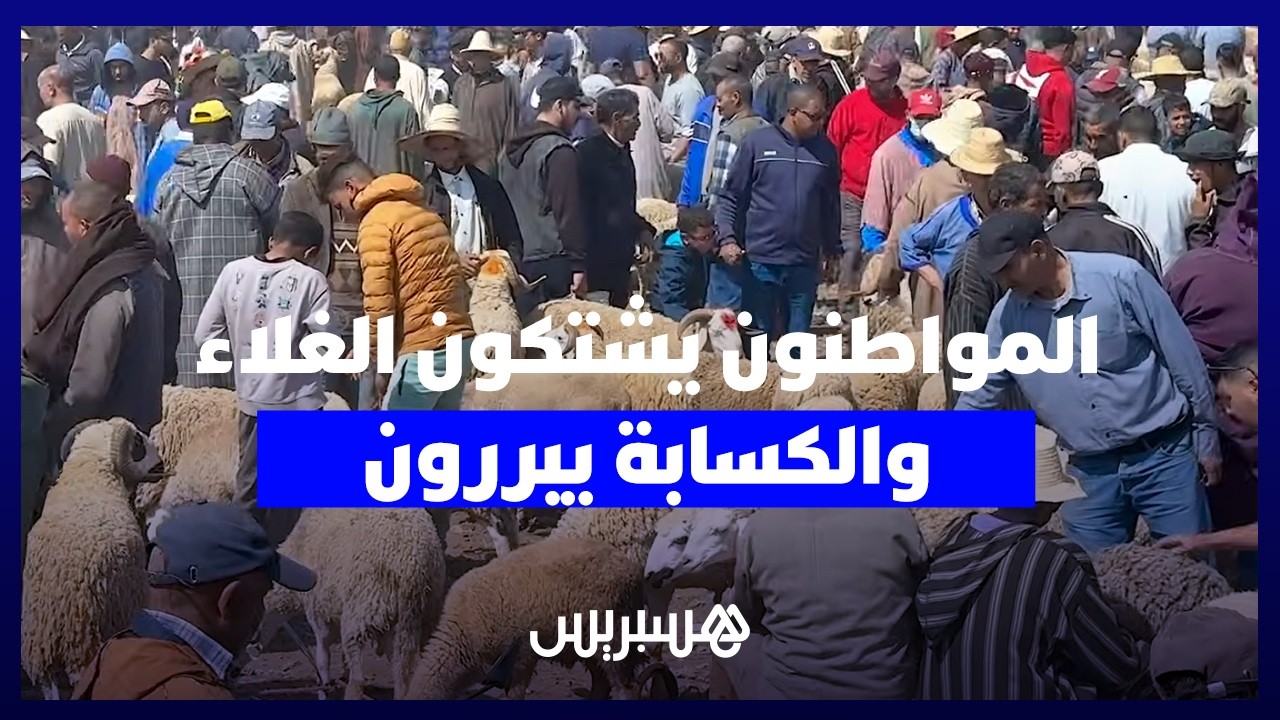 من سوق أربعاء السويهلة.. المواطنون يشتكون الغلاء والكسابة يبررون: "العلف غالي واللحم داير 130 درهم" thumbnail