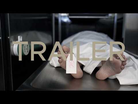 Sisters in Crime Trailer