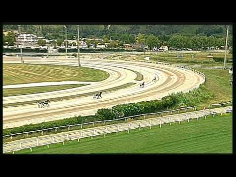 Trotto 11/06/2020 - 2ª prova di qualifica