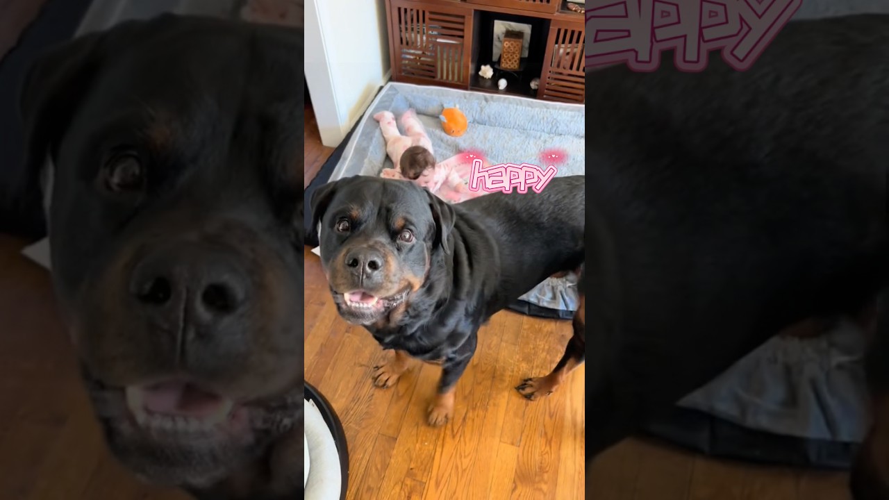 So soft even babies can snuggle 🥰