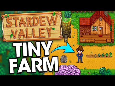 Stardew Valley but I only have a tiny farm