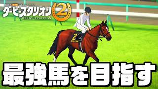 G1全勝利を目指す最強馬を作りたい！『 ダービースタリオン2 』#7