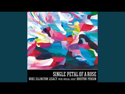 Single Petal Of A Rose