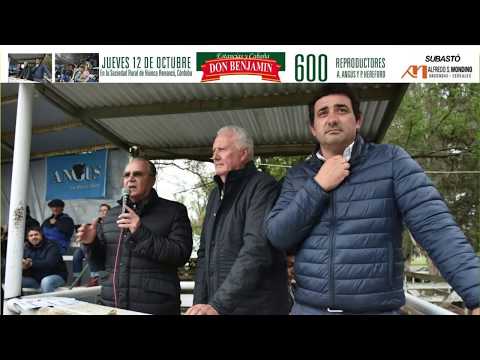 DE FRENTE AL CAMPO junto a DON BENJAMIN-ALFREDO S MONDINO-