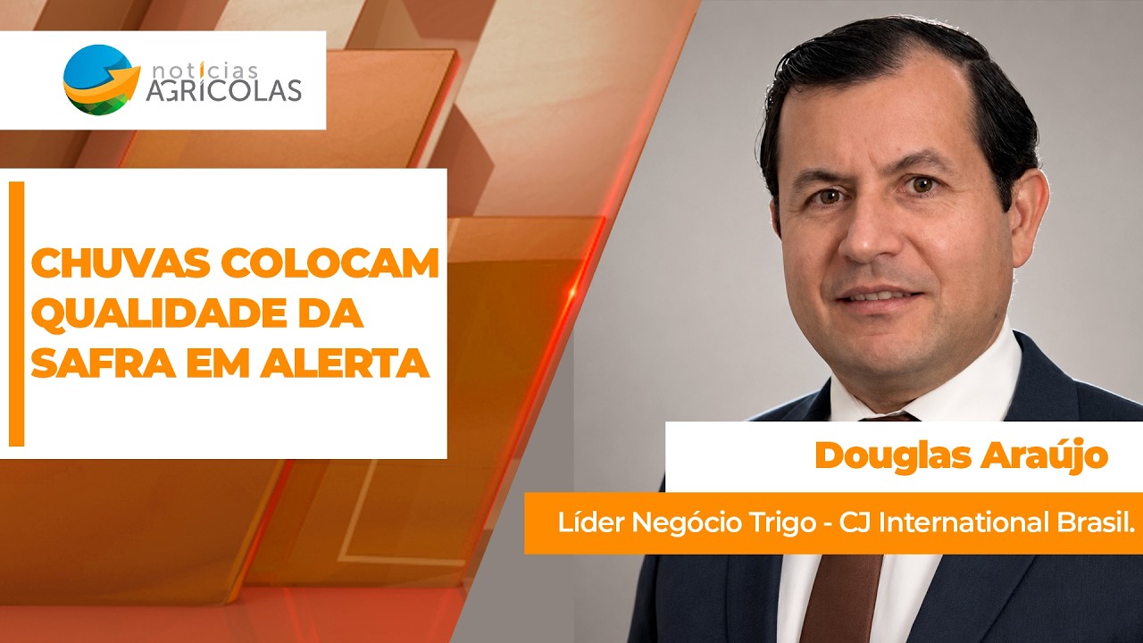 Trigo monitora avanço das chuvas no Brasil