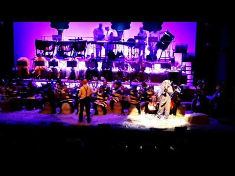 O Elefante da Quinta da Amizade - Juliana Vilallba