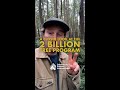 A Closer Look at the 2 Billion Tree Program in Canada