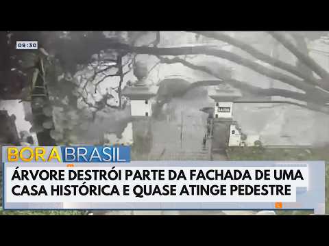 Árvore cai a centímetros de pedestre em MG | Bora Brasil