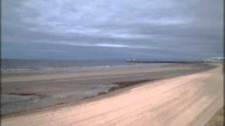 Wo Meine Sonne Scheint - Die Flippers