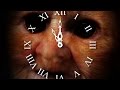 Countdown 60 Sec Timer CLOCK V 181 1 Min Timer With Sound Effects 4k