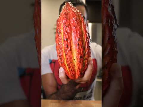 Let's Make Chocolate (From the CACAO POD)