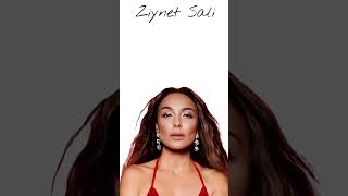 Ziynet Sali Sanane Be Background Music