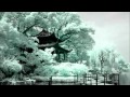 Flowers of the sea - Keiko Matsui.wmv 