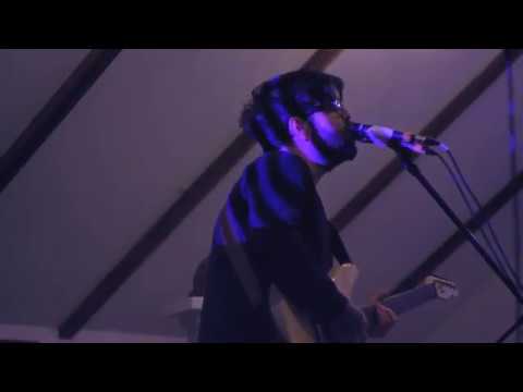 Renard Blanc /// Session live 01