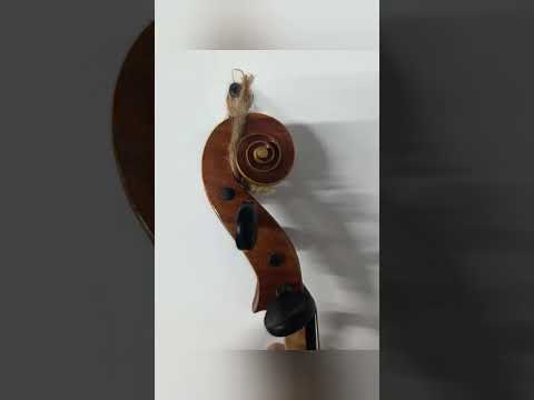 Maggini Violin Early 1900s image 18