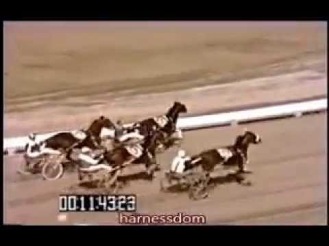 1967 Delaware County Fair NARDIN'S BYRD Little Brown Jug Heat Del Insko