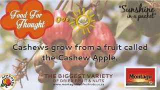 preview picture of video 'Cashews Food for Thought | Montagu Dried Fruit & Nuts'