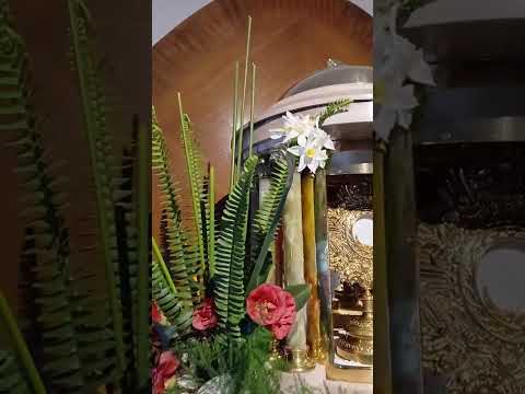 Adoración al Santísimo Sacramento del Altar con el Padre Fabian Esteban Oliva. 14//07/26