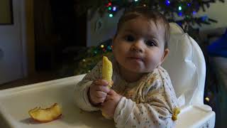 Beata je chrupki, Miłosz bawi się bombkami